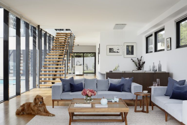 Air Duct Cleaning for Homes with Pets