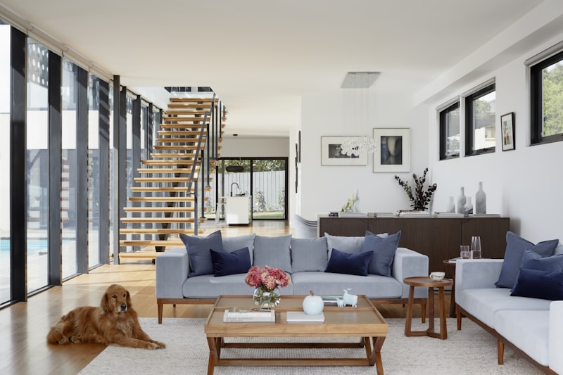 Air Duct Cleaning for Homes with Pets